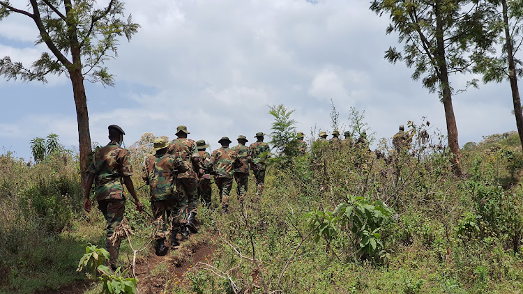 File image of Kenya Forest Service Rangers.